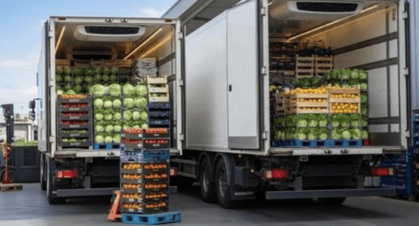 Camions frigorifiques chargés de cageots de fruits et légumes